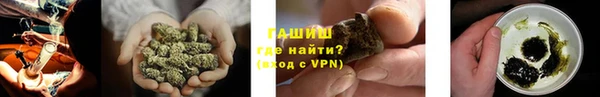 сатива Алзамай