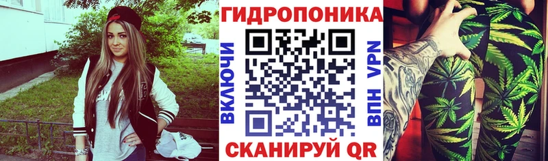 Марихуана сатива  Дудинка 